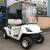 Duo Golf Buggy - view 1
